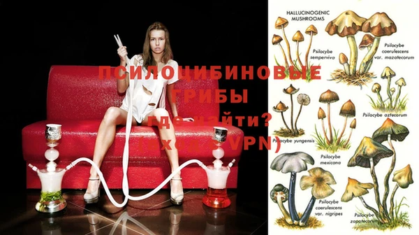 MDMA Premium VHQ Армянск