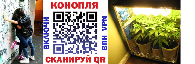 продажа наркотиков Ноябрьск МЕГА онион Марихуана White Widow